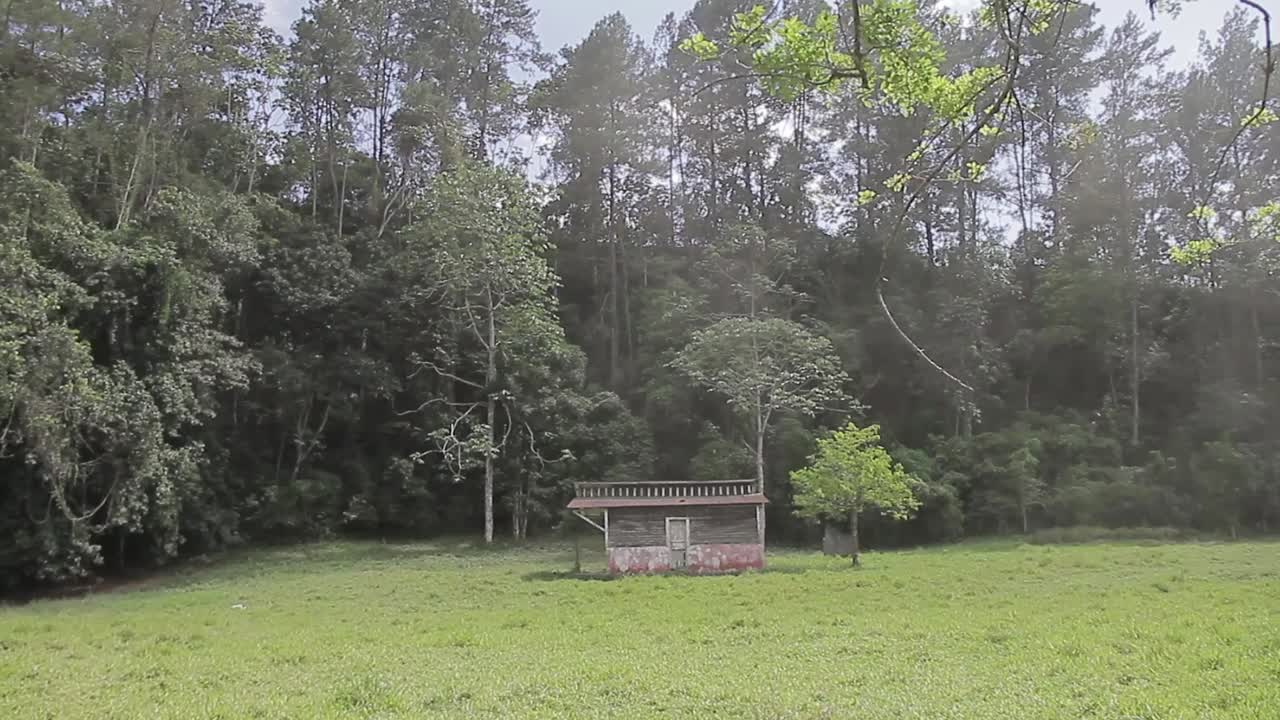 old wooden farmhouse in the middle of the countryside with tall trees and mountain in the background, rural life, jarabacoa dominican republic