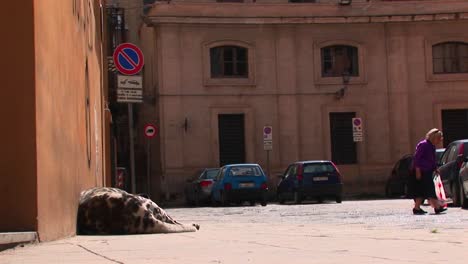 Eine-Alte-Frau-Geht-An-Einer-Großen-Körpermasse-Vorbei,-Die-An-Einem-Gebäude-Liegt-Palermo-Italien