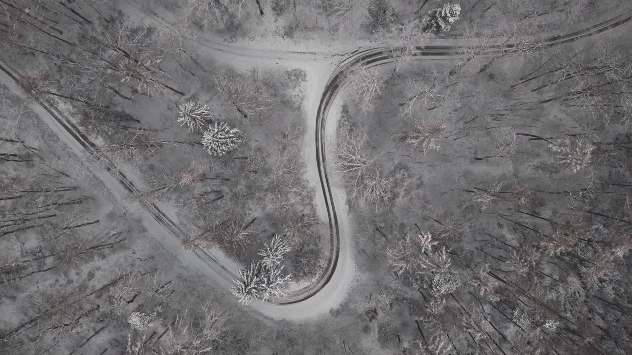 Vista aerea dall'alto di una strada tortuosa che taglia una foresta innevata in inverno. Alberi spogli e sempreverdi ghiacciati creano un paesaggio stagionale minimalista e suggestivo