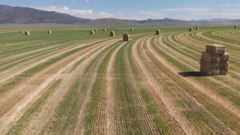 aerial footage of a hay field