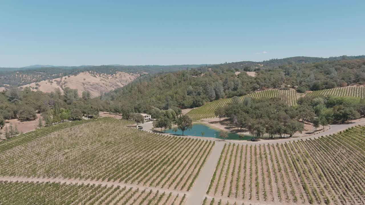 Ripresa laterale con drone in movimento in salita su vigneti, laghetti, alberi e dolci colline sulle colline pedemontane della Sierra Nevada