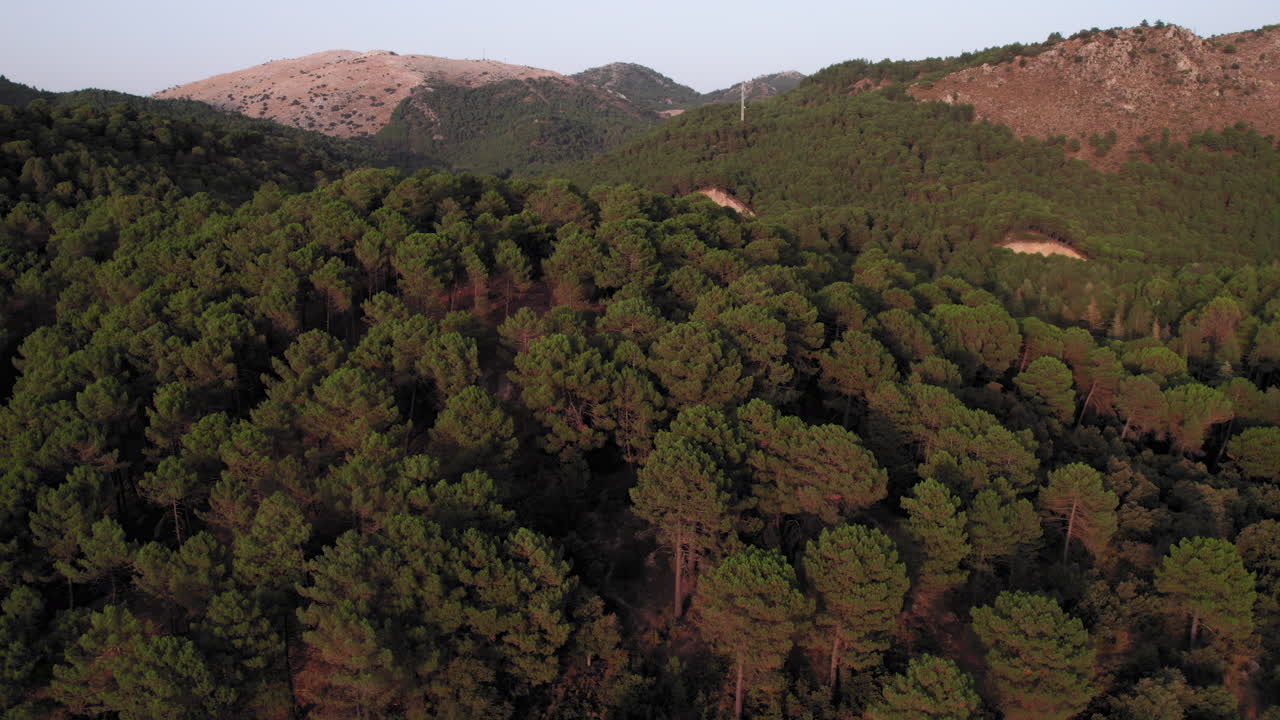Colline boscose del parco naturale della Sierra de Huetor, drone che vola all'indietro, Granada, Spagna.