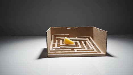 cheese in a cardboard maze