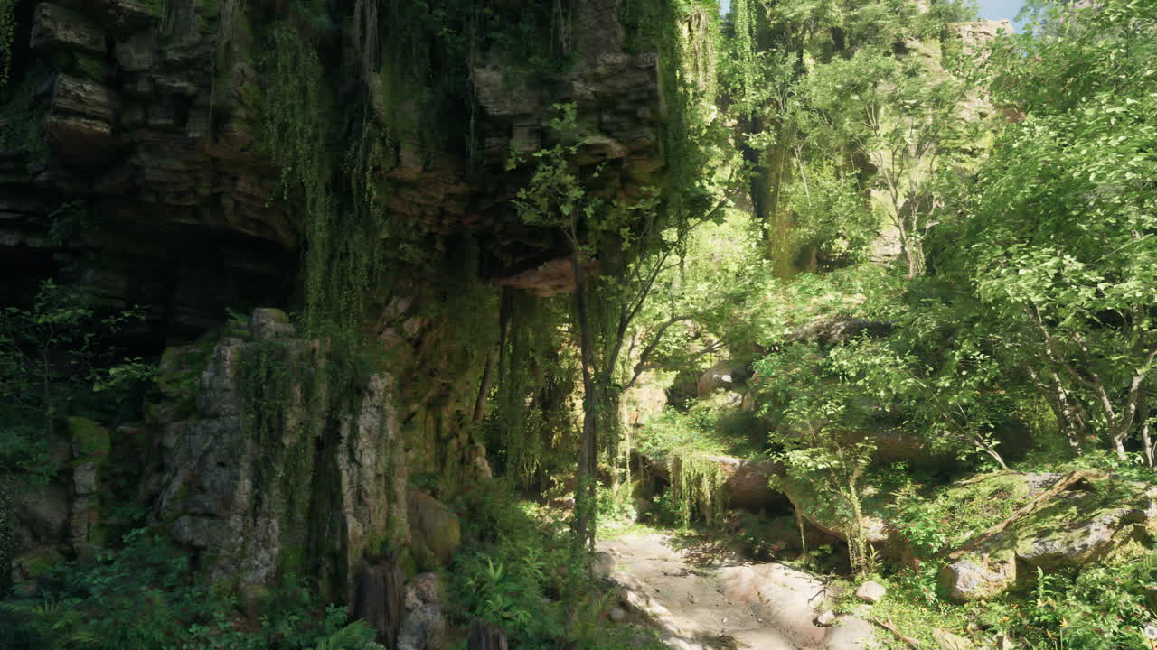 el camino de la selva exuberante