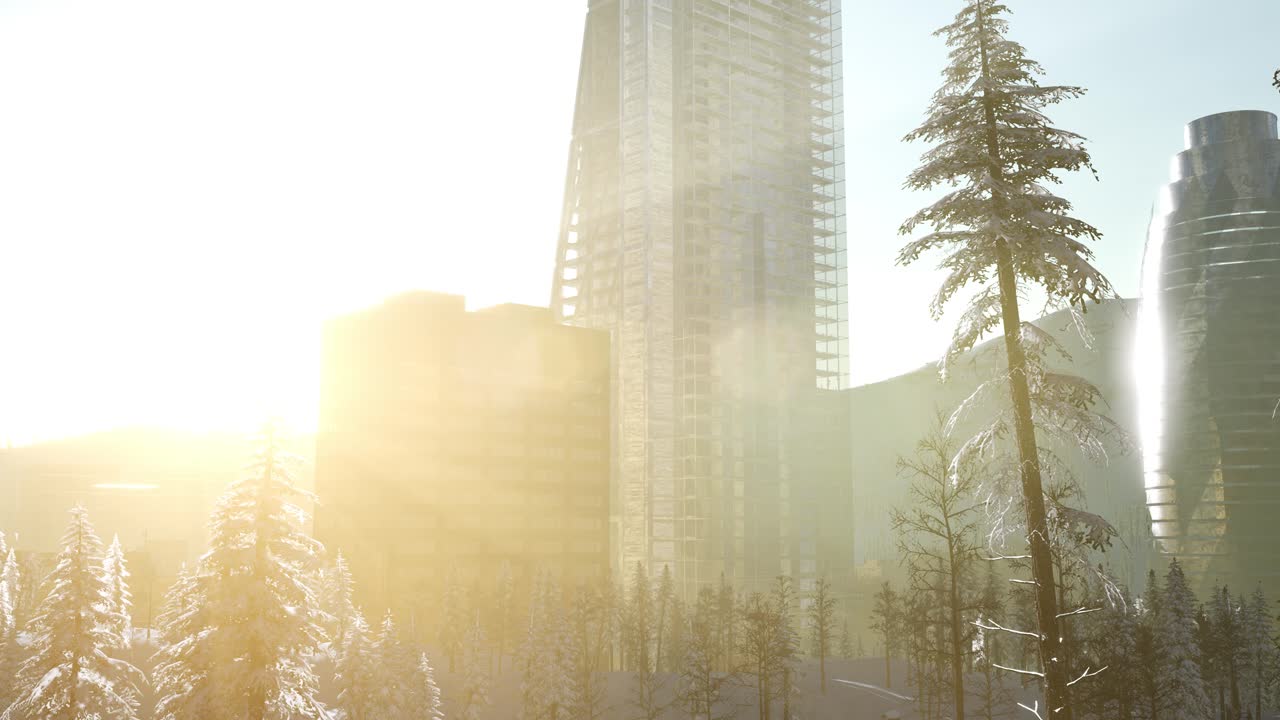 Cidade e floresta na neve