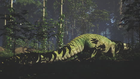 crocodile moving through dense tropical forest during early morning