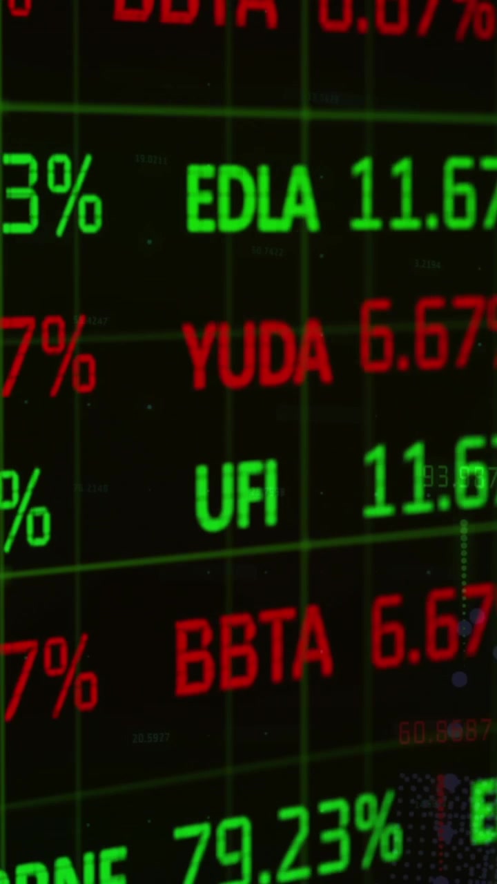 Animazione dell'elaborazione di dati finanziari