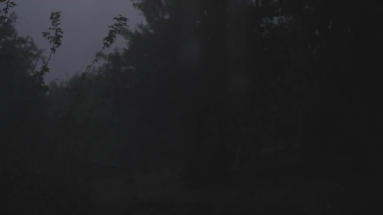 Lampi illuminano una piccola casa rurale e alberi nella foresta durante un forte temporale notturno, creando silhouette drammatiche nell'oscurità