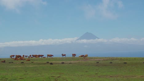 Vista-A-La-Montaña-Pico-Desde-La-Isla-De-San-Jorge-Ubicada-En-El-Archipiélago-De-Las-Azores