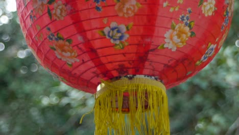 cerca de una linterna china con árbol en segundo plano.