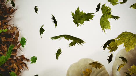 animation of multiple green leaves falling over white background