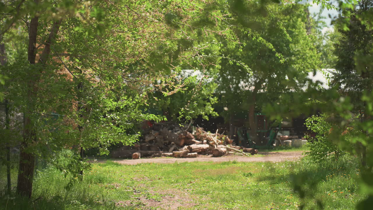 troncos de madera descansando en un campo soleado, madera y troncos dispuestos con calma en un claro verde bajo la luz del sol, haz de madera y troncos colocados en medio de un prado verde con árboles alrededor