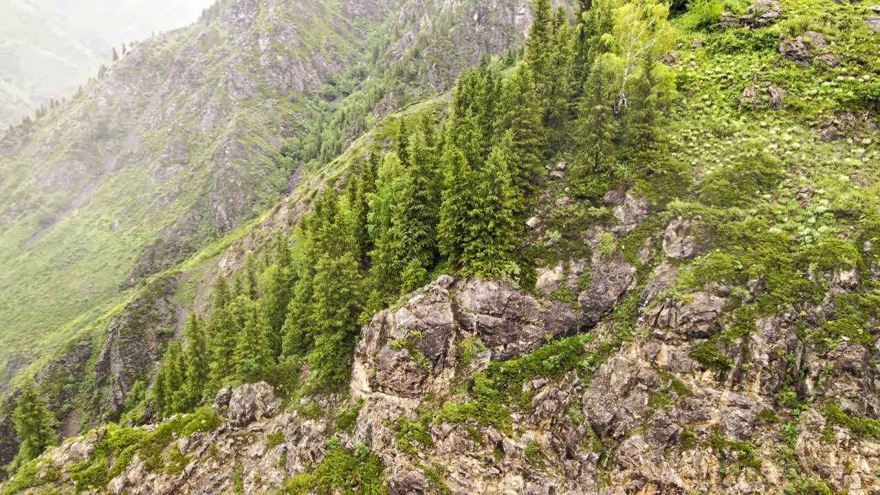 paisaje con hierba y montañas