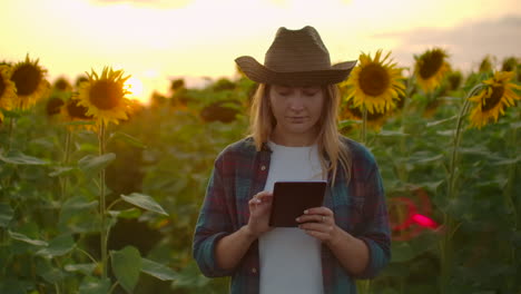 Eine-Junge-Studentin-Geht-über-Das-Feld-Mit-Den-Großen-Gelben-Sonnenblumen-Und-Untersucht-Sie.-Sie-Schreibt-Ihre-Merkmale-Auf-Das-IPad.