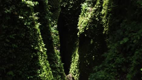 lush green gorge waterfall in bali pull back drone shot