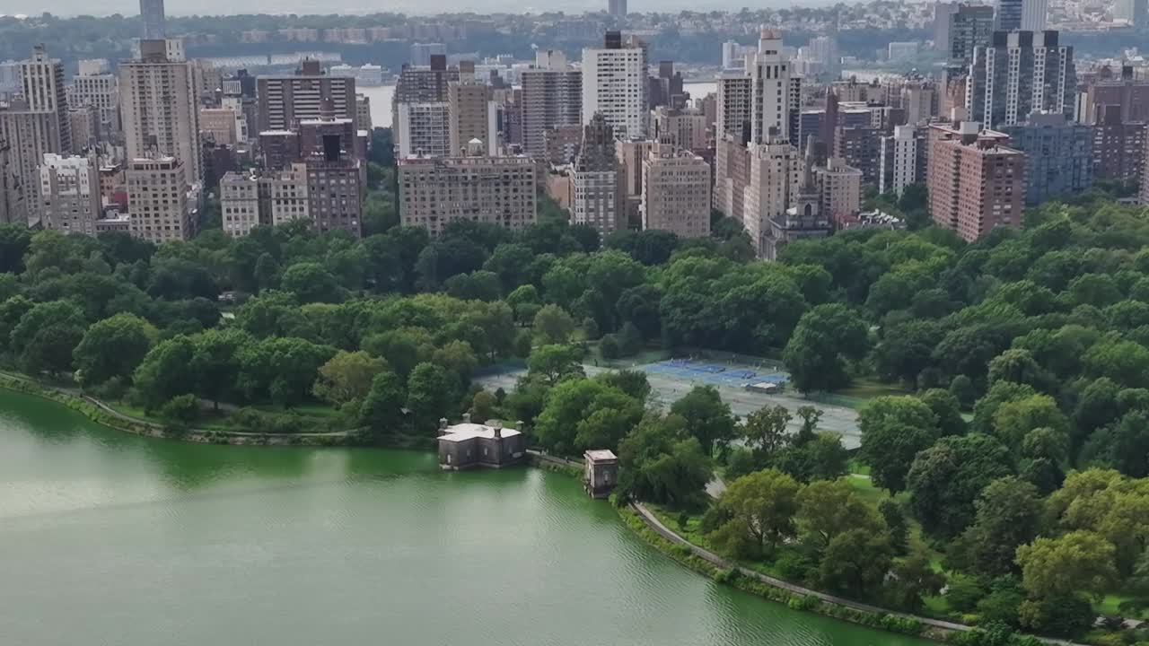 Stunning aerial view of New York's skyline and lush greenery
