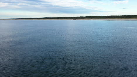 AERIAL:-Rotating-Shot-of-Two-Seagulls-Resting-on-a-Surface-of-Blue-Baltic-Sea-Water