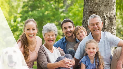 animation of picnic basket over smiling caucasian multi generation family in park