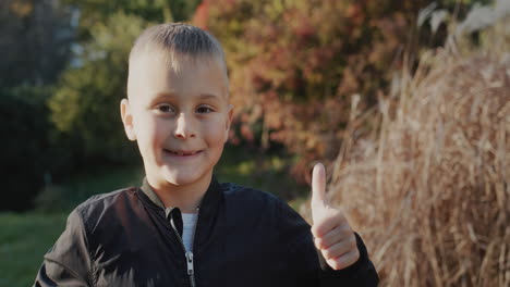 portrait of a cheerful boy in the autumn park. holds thumb up