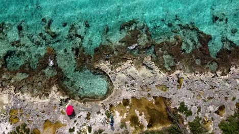 aerial view of ironshore coastline in the caribbean