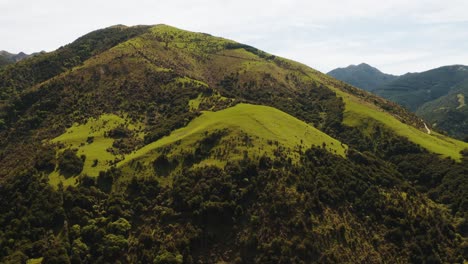 hills and forest drone footage with roads going up hill