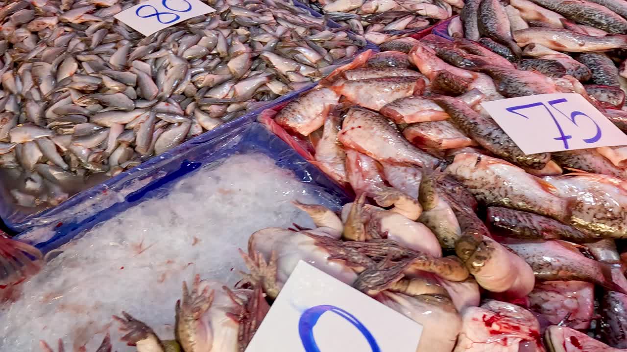 secuencia de peces que se arreglan en un mercado