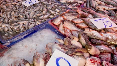 sequence of fish being arranged at a market