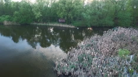 Aufnahme-Einer-Vogelbeobachtungshütte-Im-Wald