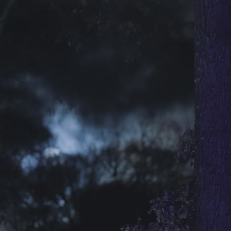 la noche es un paisaje misterioso.