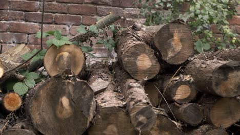 Log pile of felled trees against brick wall medium tilting shot