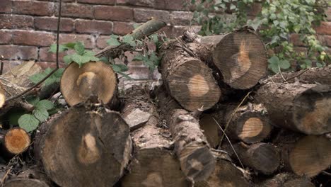 log pile of felled trees against brick wall medium tilting shot