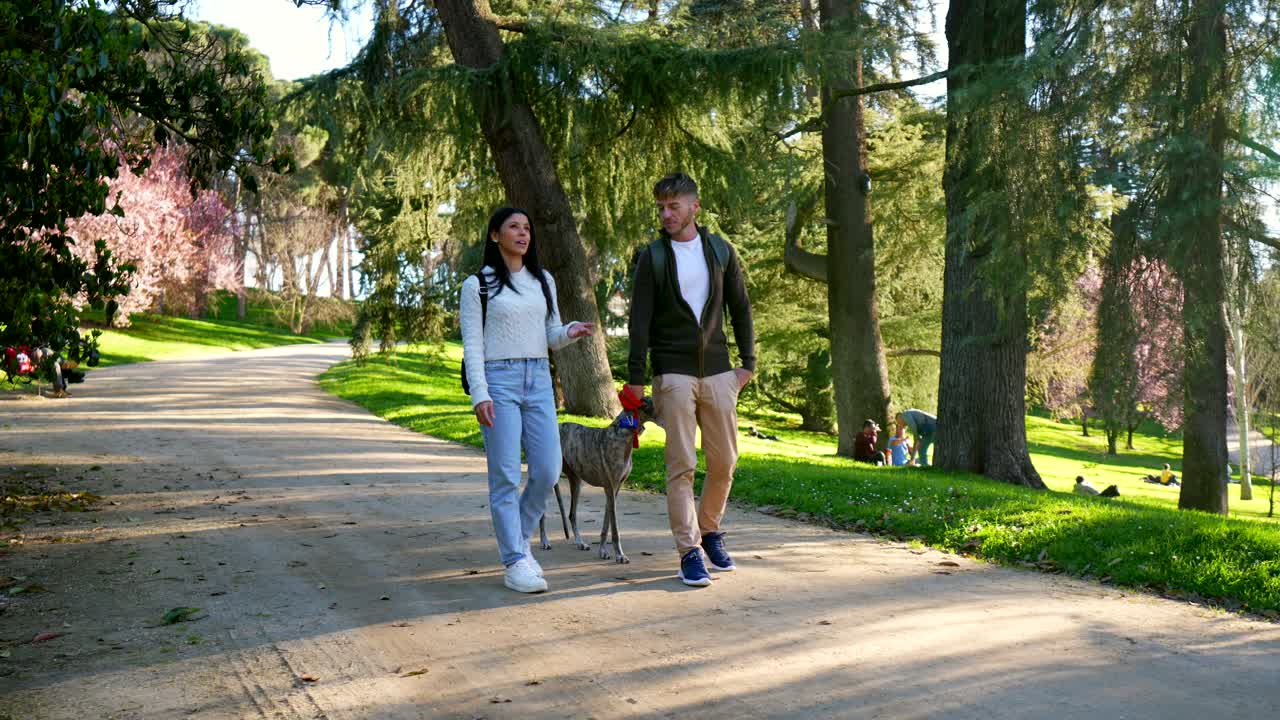 Coppia a passeggio con il loro levriero in un parco soleggiato
