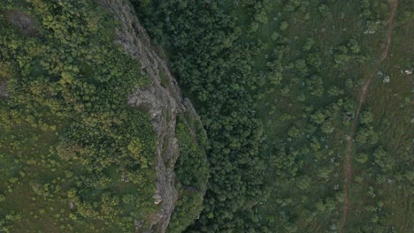 top down of steep vertical rock cliff with green vegetation in valley below
