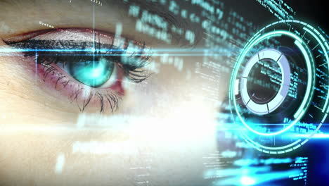 procesamiento de datos y ojo humano