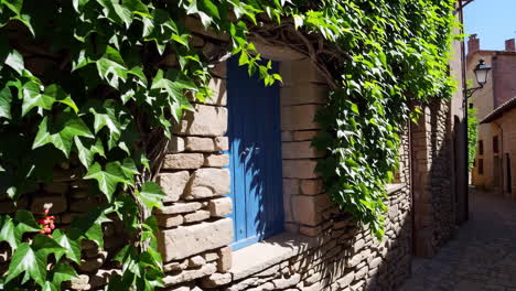 picturesque stone wall with vibrant green ivy and blue shutters