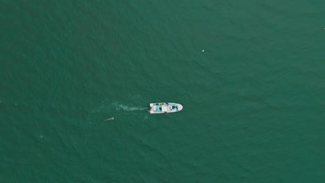 top-down shot of a scientific research boat collecting data on bacteria in sete