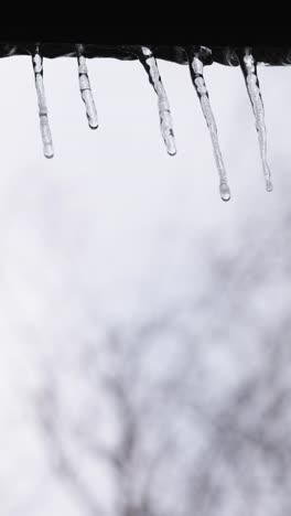 trozos delgados de hielo en una ventana