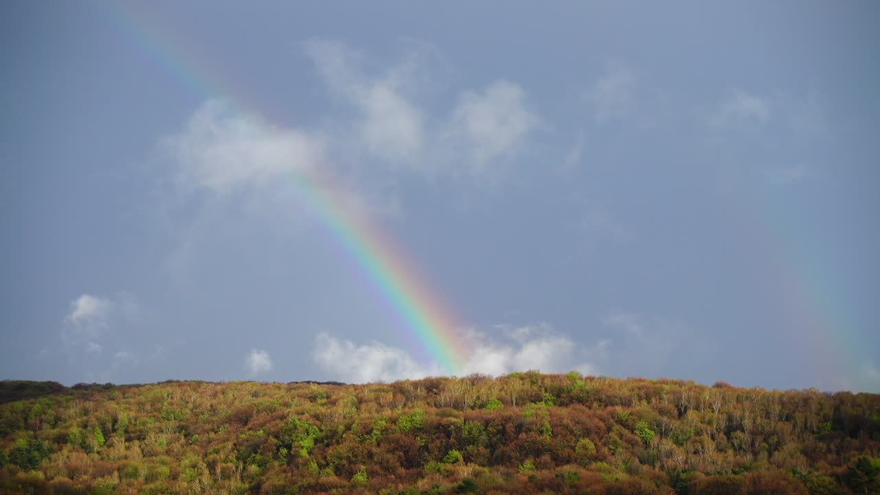 arco iris en el cielo después de la lluvia sobre el bosque.