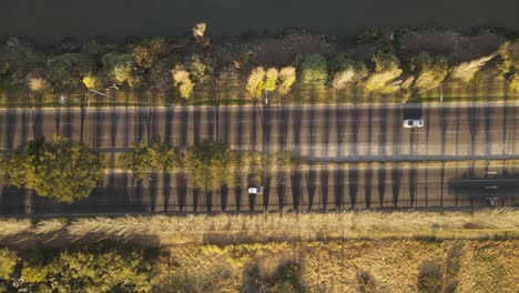 Aerial-top-down-view-of-traffic-running-on-boulevard-street-surrounded-by-beautiful-greenery-and-river