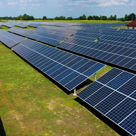 aerial view. top view on blue solar pannels. green energy. pannels in the field.