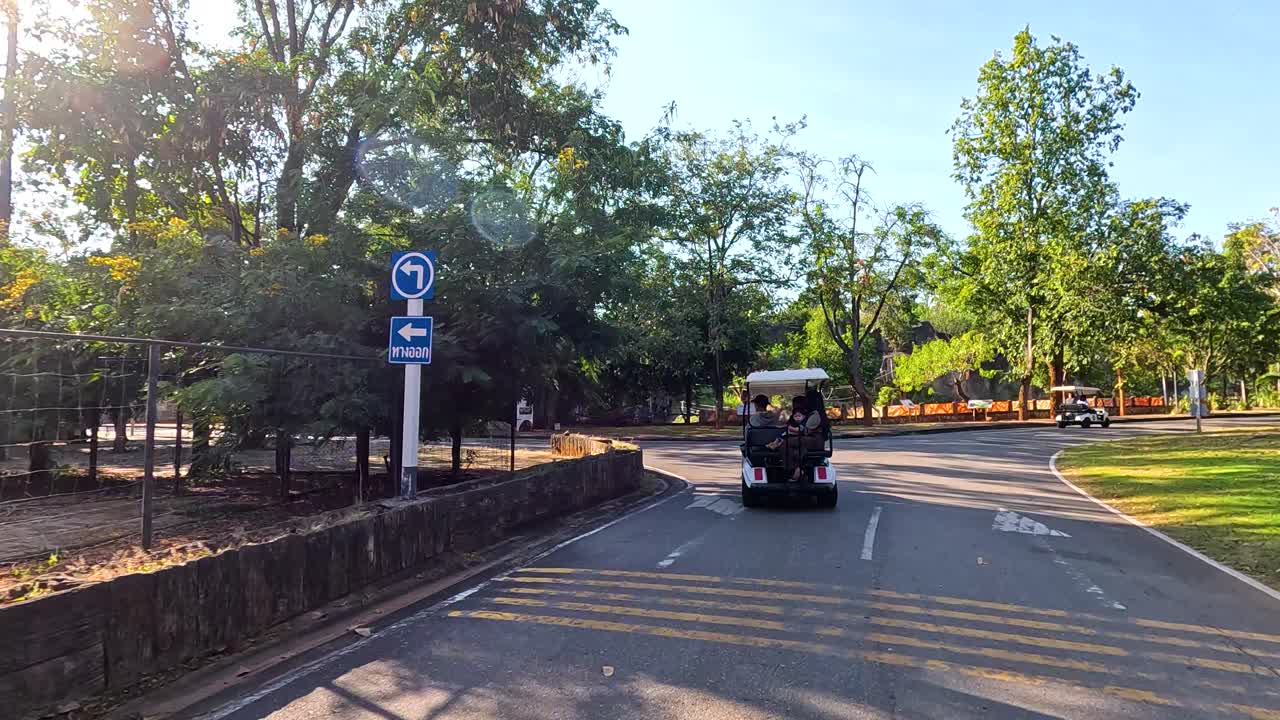 경치 좋은 동물원 길 을 가로질러 골프 카트 타기