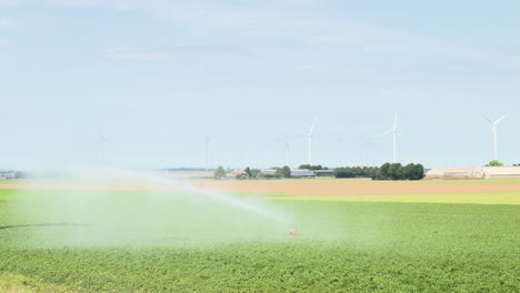 sistema de riego agrícola rociando agua sobre cultivos, los países bajos-2