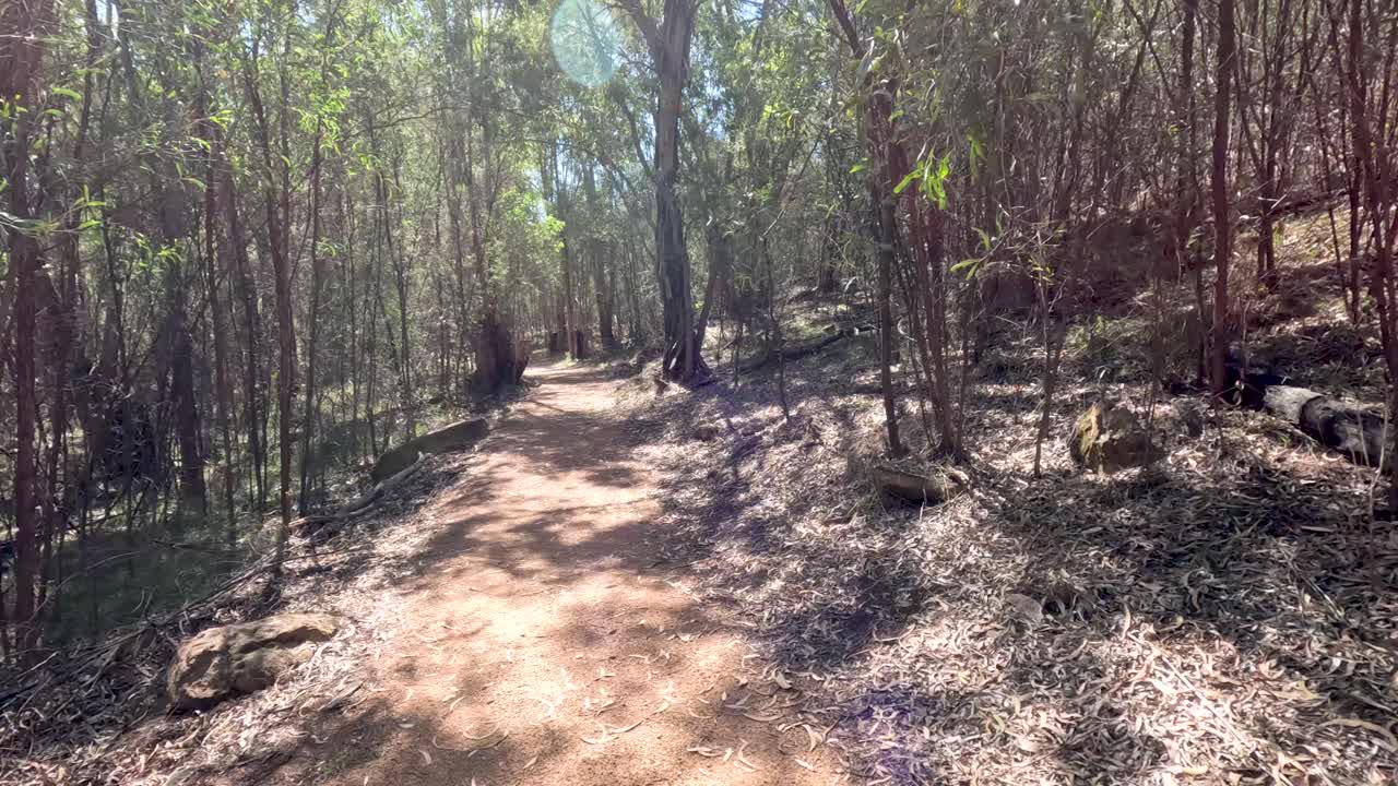숲길 을 걸어다니는 것