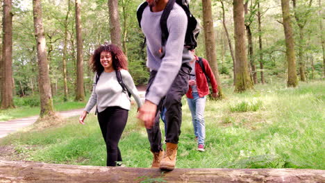 A-multi-ethnic-group-of-five-young-adult-friends-stepping-over-a-fallen-tree-in-a-forest-during-a-hike