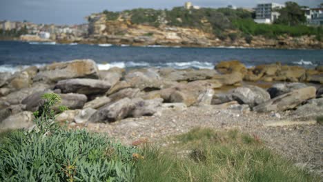 Rocky-Coastline-And-Empty-Beach---Eastern-Suburbs---Sydney,-New-South-Wales,-Australia