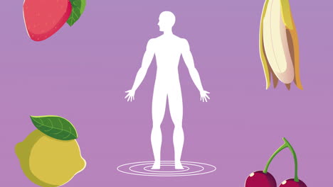 fruits and healthy human body silhouette