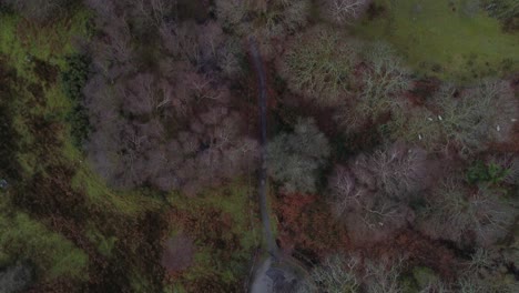 a top down perspective over a forest in north wales