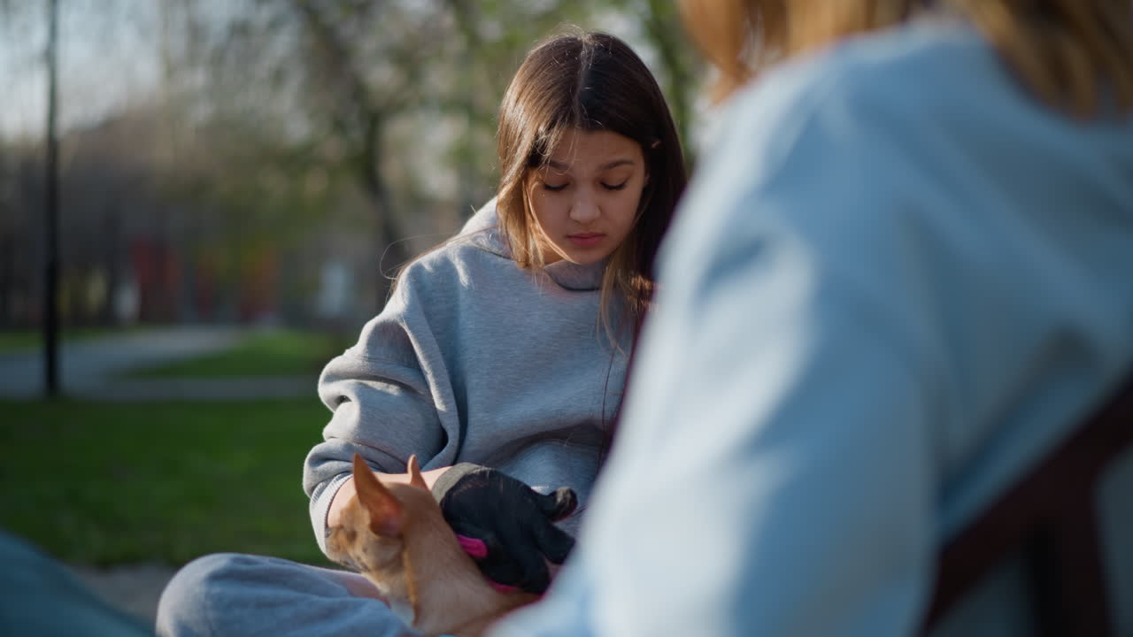 Momento de mimos con un perro: una mujer acaricia con cariño a un perro pequeño en un banco. Escena apacible de una mujer cuidando a un perro diminuto en un parque. Entorno encantador de un parque en el que se ve a una mujer atendiendo con ternura a su perro pequeño en un banco.