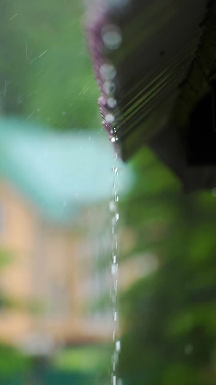 Rain Drops Falling from Roof Gutter