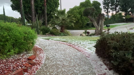 tormenta de granizo lluvia intensa camino de jardín cubierto de piedra de hielo en california, estados unidos de américa, condiciones climáticas extremas cambio climático
